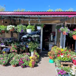 Marijampole Market - Marijampole