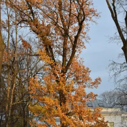 Marijampole Public Library - Marijampole