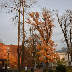 Marijampole Public Library - Marijampole