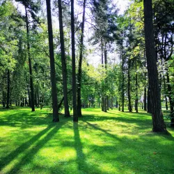 Mazeikiai Botanical Garden - Mazeikiai