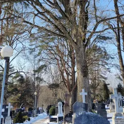 Mazeikiai Historical Cemetery - Mazeikiai
