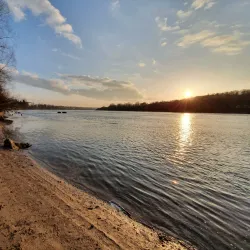 Bird Watching Spots near Panemune - Panemune