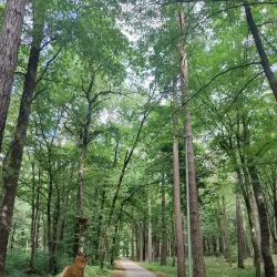 Bird Watching Spots near Panemune - Panemune
