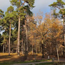 Bird Watching Spots near Panemune - Panemune