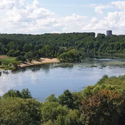 Bird Watching Spots near Panemune - Panemune