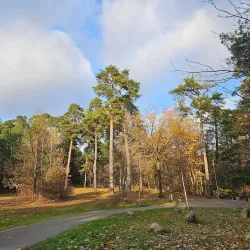 Bird Watching Spots near Panemune - Panemune