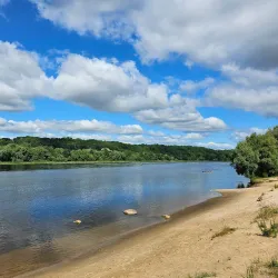 Bird Watching Spots near Panemune - Panemune