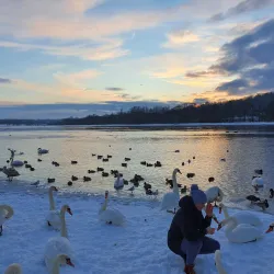 Bird Watching Spots near Panemune - Panemune