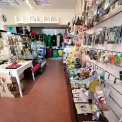 Local Handicraft Shops - Panemune