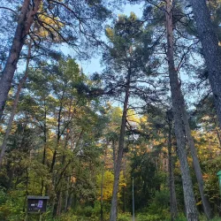 Panemune Riverside Park - Panemune