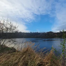 Panemune Riverside Park - Panemune