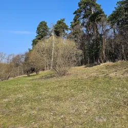 Panemune Riverside Park - Panemune