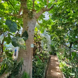 Panevezys Botanical Garden - Panevezys