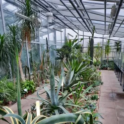 Panevezys Botanical Garden - Panevezys