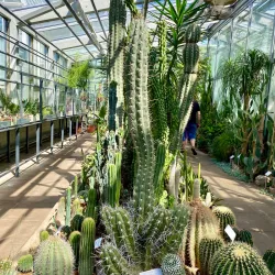 Panevezys Botanical Garden - Panevezys