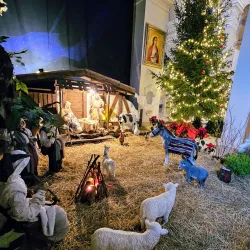 Panevezys Church of St. Peter and St. Paul - Panevezys