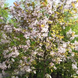 Panevezys City Park - Panevezys