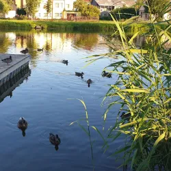 Raseiniai Park - Raseiniai