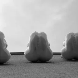 Šiauliai Art Gallery - Siauliai