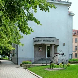 Šiauliai Aušros Museum - Siauliai