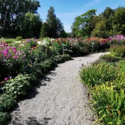 Šiauliai University Botanical Garden - Siauliai