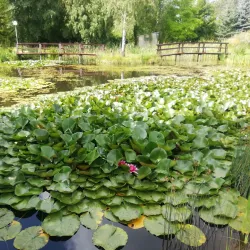 Šiauliai University Botanical Garden - Siauliai