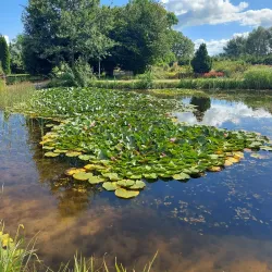 Šiauliai University Botanical Garden - Siauliai