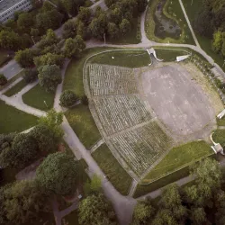 Park of Šiauliai - Siauliai