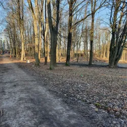 Park of Šiauliai - Siauliai