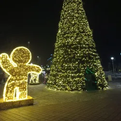 Taurage Castle - Taurage