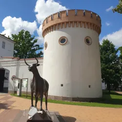 Taurage Regional Museum - Taurage