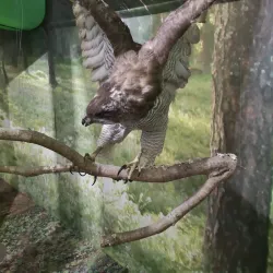 Žemaitija National Park Visitor Center - Telsiai