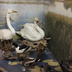 Žemaitija National Park Visitor Center - Telsiai