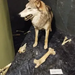 Žemaitija National Park Visitor Center - Telsiai