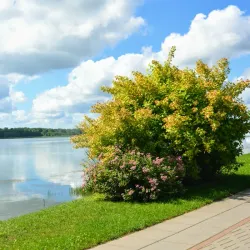 Lake Mastis - Telsiai