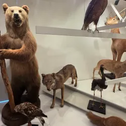 Samogitian Museum "Alka" - Telsiai