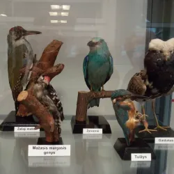 Samogitian Museum "Alka" - Telsiai