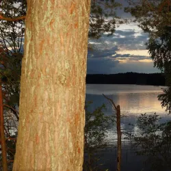Antalieptė Reservoir - Utena