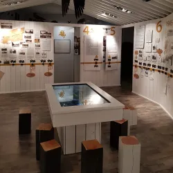 Utena Regional Museum - Utena