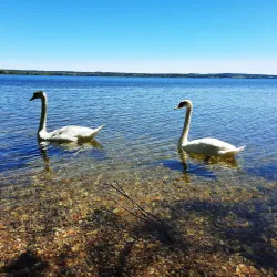 Lake Vištytis (nearby) - Vilkaviskis