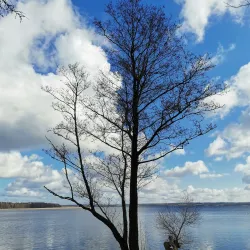 Lake Vištytis (nearby) - Vilkaviskis
