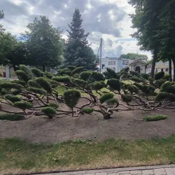 Vilkaviškis Cathedral (Church of the Immaculate Conception of the Blessed Virgin Mary) - Vilkaviskis