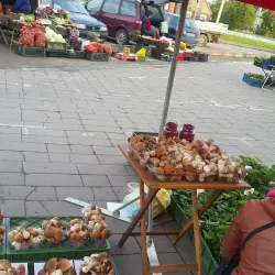 Vilkaviškis Market Square - Vilkaviskis