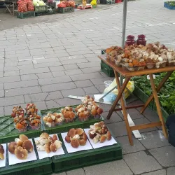 Vilkaviškis Market Square - Vilkaviskis