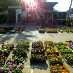 Vilkaviškis Market Square - Vilkaviskis