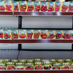 Vilkaviškis Market Square - Vilkaviskis