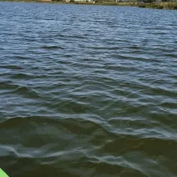 Vilkaviškis Park - Vilkaviskis