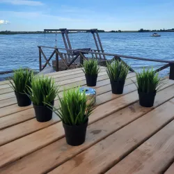 Vilkaviškis Park - Vilkaviskis