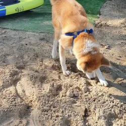 Vilkaviškis Park - Vilkaviskis