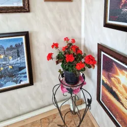 Vilkaviškis Regional Museum - Vilkaviskis